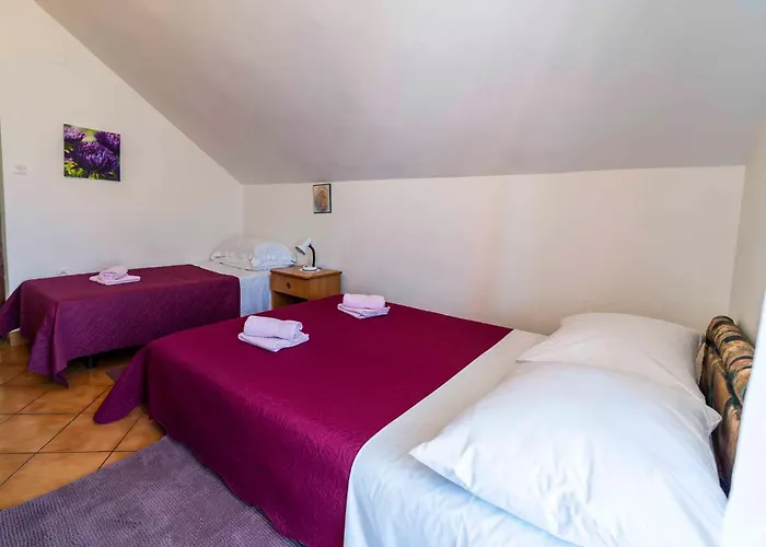 Apartmán In - Zadar Riviera 7842
